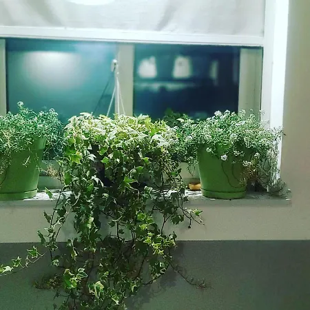 Attico Sul Porto Di E Vista Vulcano *