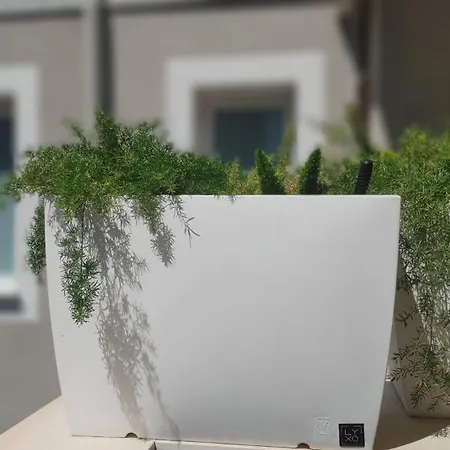 Apartamento Attico Sul Porto Di E Vista Vulcano